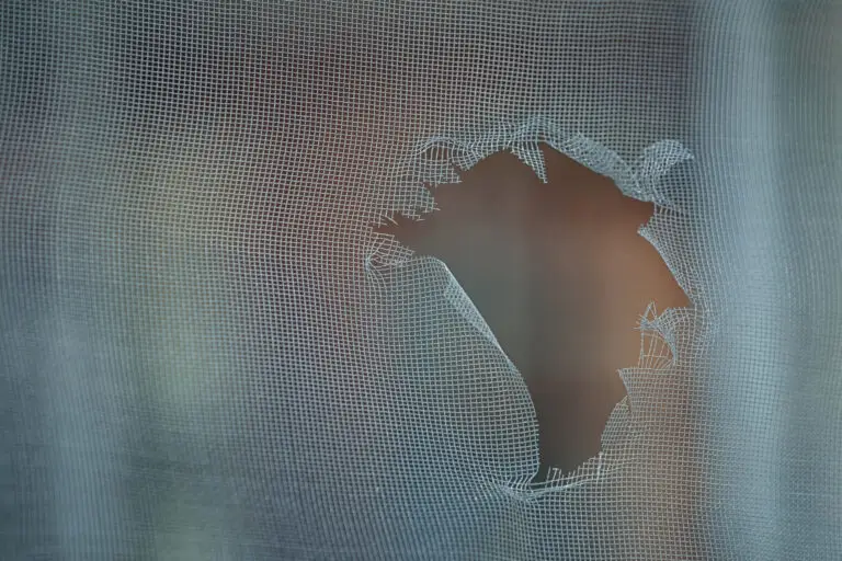 Top Reasons to Choose Professional Screen Repair Services in Gainesville, FL